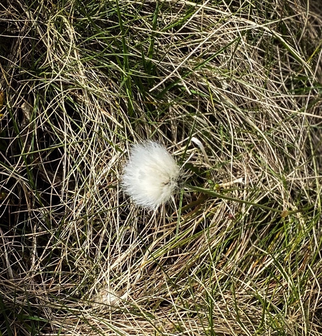 To Blakey Ridge, Day&nbsp;17