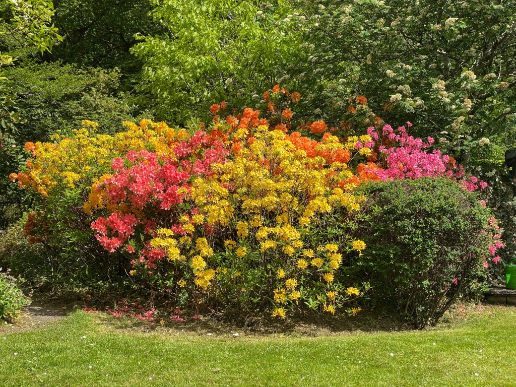 To Grasmere, Day&nbsp;4