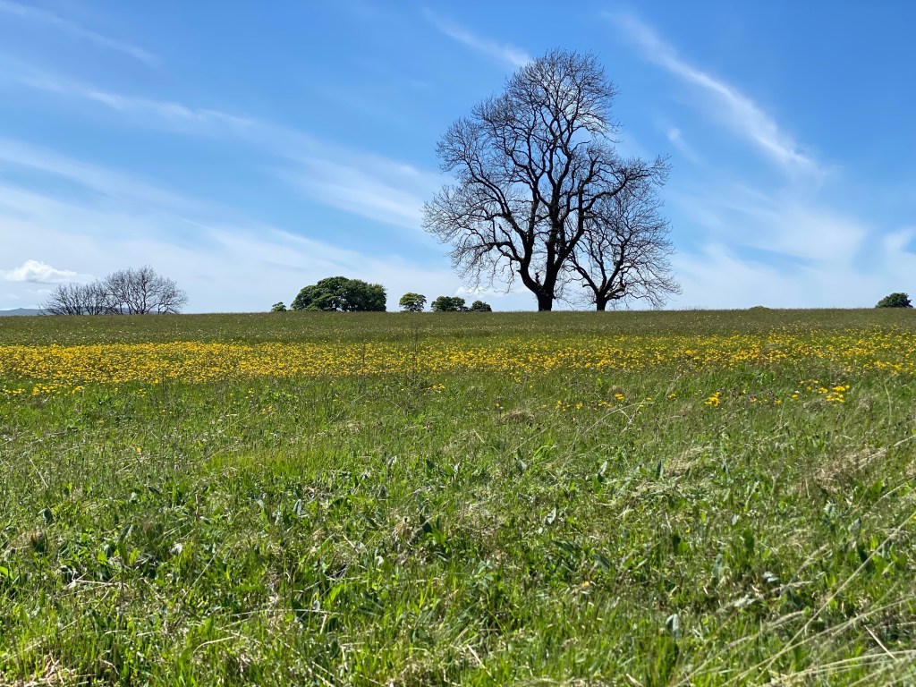 To Orton, Day&nbsp;8