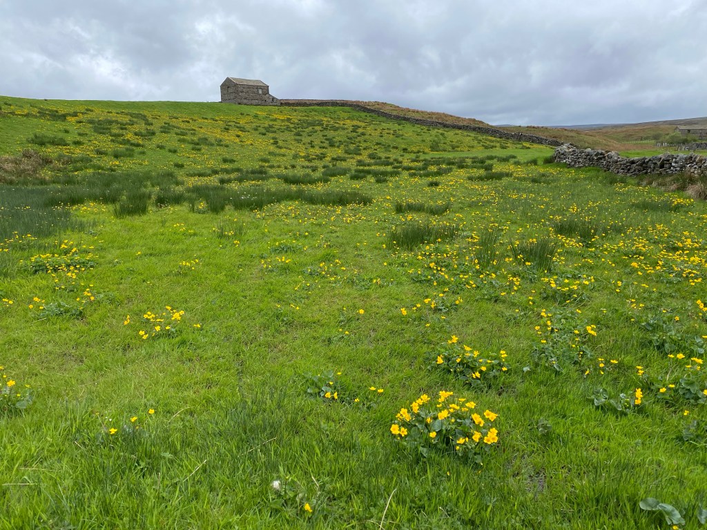 To Keld, Day&nbsp;11