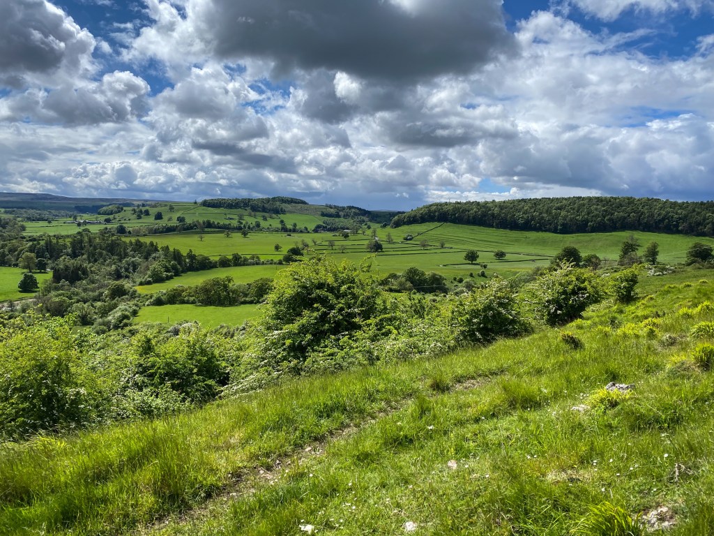 To Richmond, Day&nbsp;13