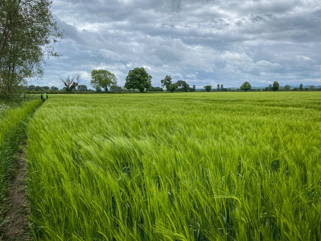 To Danby Wiske, Day&nbsp;14