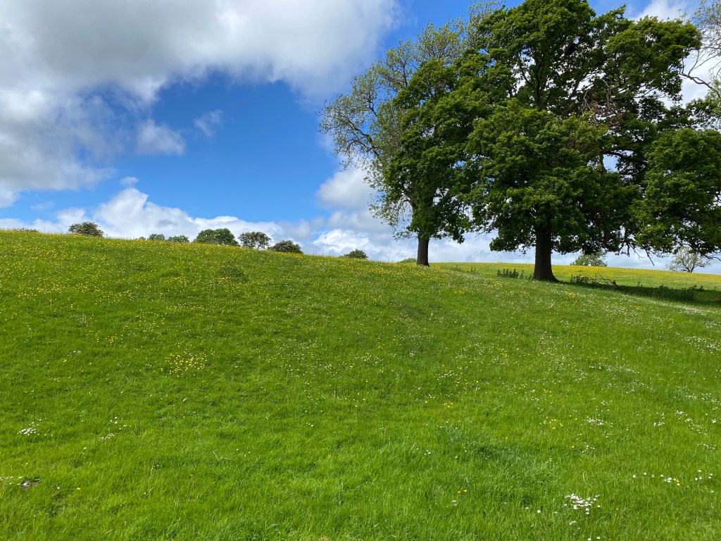 To Ingleby Arncliffe, Day&nbsp;15