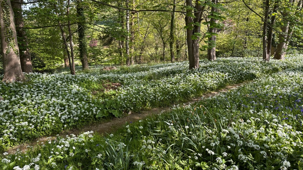 To Chipping Camden, April 28